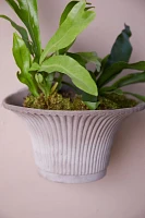 Bergs Fluted Hanging Wall Pot