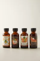 Autumn Simple Syrups, Set of 4