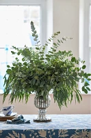 Fresh Assorted Eucalyptus Bunch