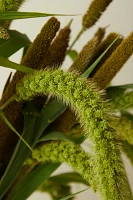 Mixed Millet Bunch