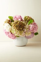 Fresh Hydrangea Bunch