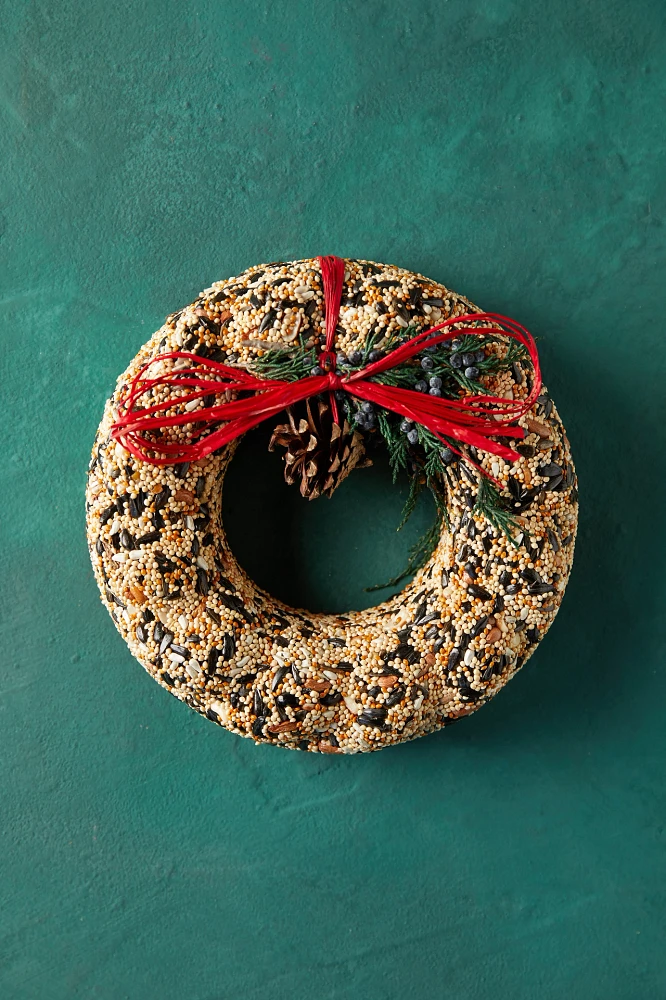 Bird Seed Wreath