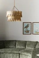 Quill Feather Chandelier