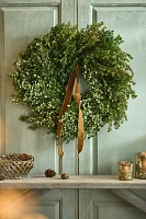 Fresh Boxwood Wreath