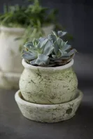Earth Fired Clay White Curve Pots + Saucers