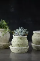 Earth Fired Clay White Curve Pots + Saucers