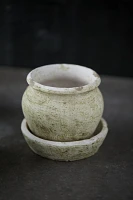 Earth Fired Clay White Curve Pots + Saucers