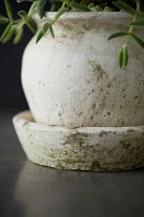 Earth Fired Clay White Curve Pots + Saucers