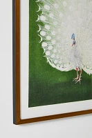 White Peacock Wall Art