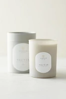 Linnea Candle, Nectar