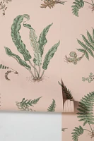 Sanderson Ferns Wallpaper