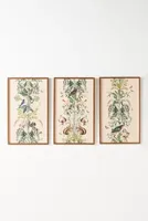 Botanical Triptych Wall Art