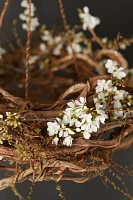 Hanging Crazy Vine Trellis