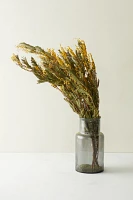 Preserved Mimosa Bunch