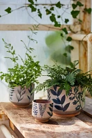 Ceramic Botanics Footed Planter