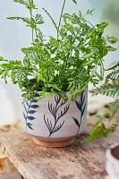 Ceramic Botanics Footed Planter