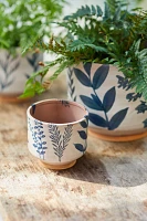 Ceramic Botanics Footed Planter