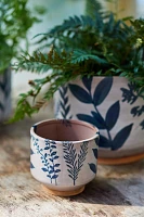 Ceramic Botanics Footed Planter