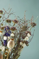 Preserved Blue Poppy Bouquet