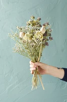 Preserved Blue Poppy Bouquet