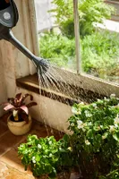 Galvanized Steel Watering Can