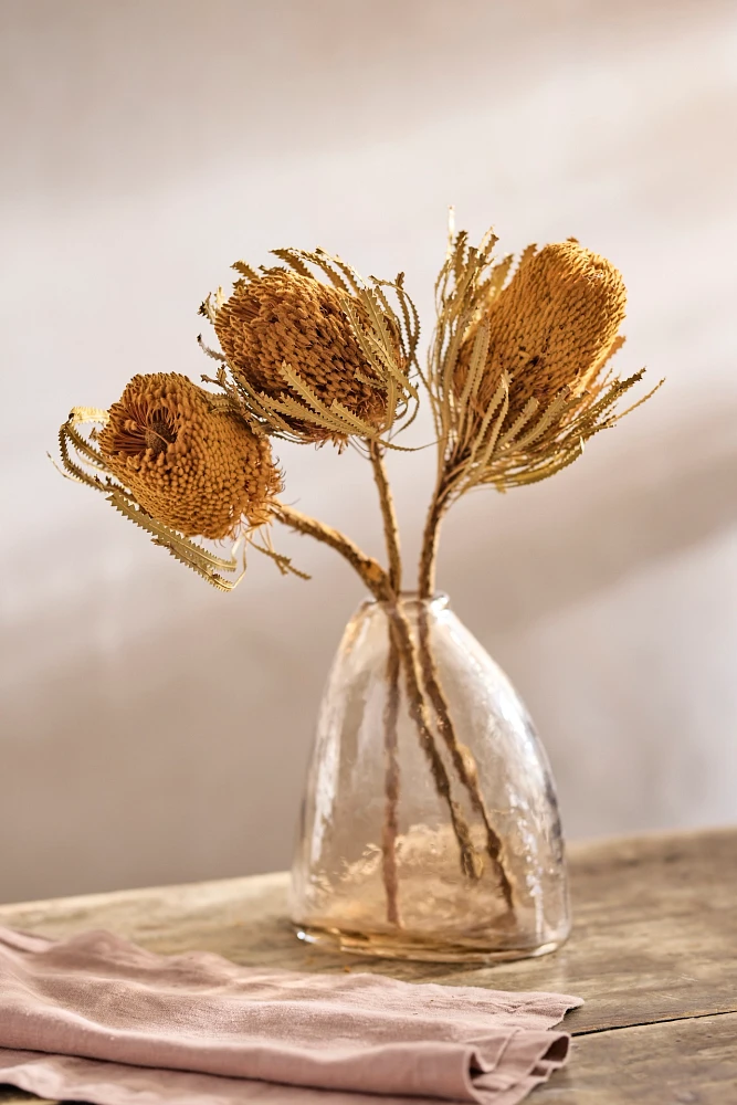 Dried Banksia Bunch