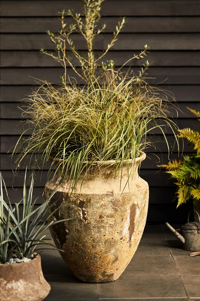 Barnacle Shelf Edge Planter