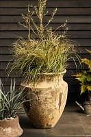 Barnacle Shelf Edge Planter