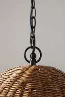 Coastal Living Beehive Indoor/Outdoor Pendant