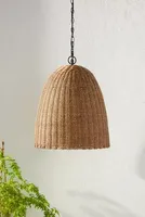 Coastal Living Beehive Indoor/Outdoor Pendant