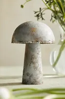 Colorful Iron Mushroom