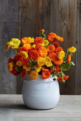 Fresh Calendula Bunch