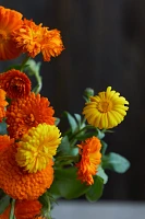 Fresh Calendula Bunch