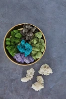 Preserved Reindeer Moss Box