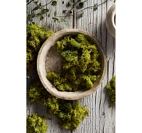 Preserved Reindeer Moss