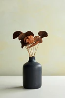 Preserved Sponge Mushroom Stem Bunch