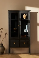 Amber Lewis for Anthropologie Curio Cabinet