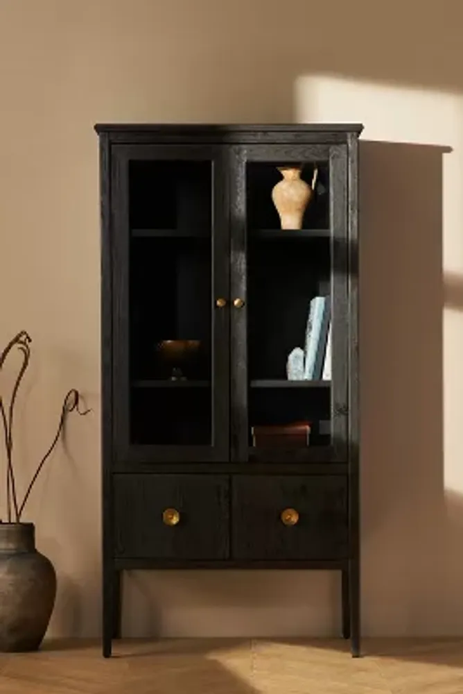 Amber Lewis for Anthropologie Curio Cabinet