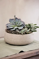 Fiber Cement Bowl Planter, 14"