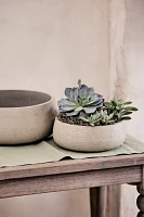 Fiber Cement Bowl Planter, 14"