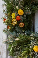 Fresh Noble Fir + Preserved Stem Wreath