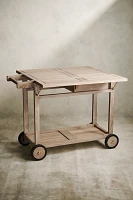 Outdoor Teak Trolley