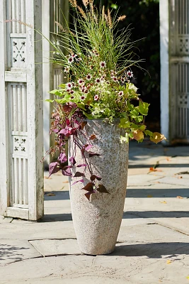 Barnacle Tall Modern Pot, 10"