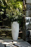 Barnacle Tall Modern Pot