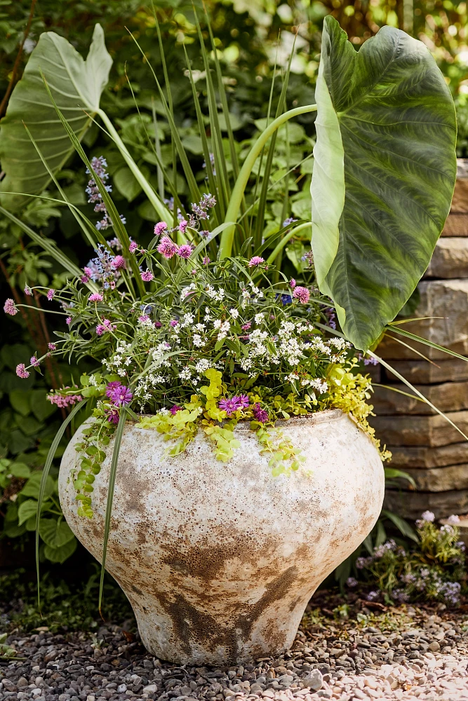 Barnacle Vase Planter, Dark Neutral