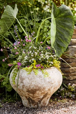 Barnacle Vase Planter, Dark Neutral