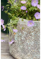 Barnacle Planter, Blue