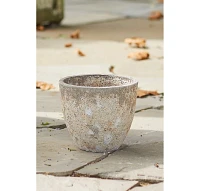 Barnacle Rounded Egg Planter