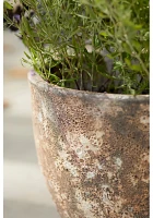 Barnacle Rounded Egg Planter