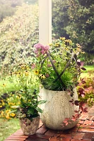 Barnacle Rounded Egg Planter